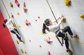 保罗哥哥更新动态：这些人简直疯了